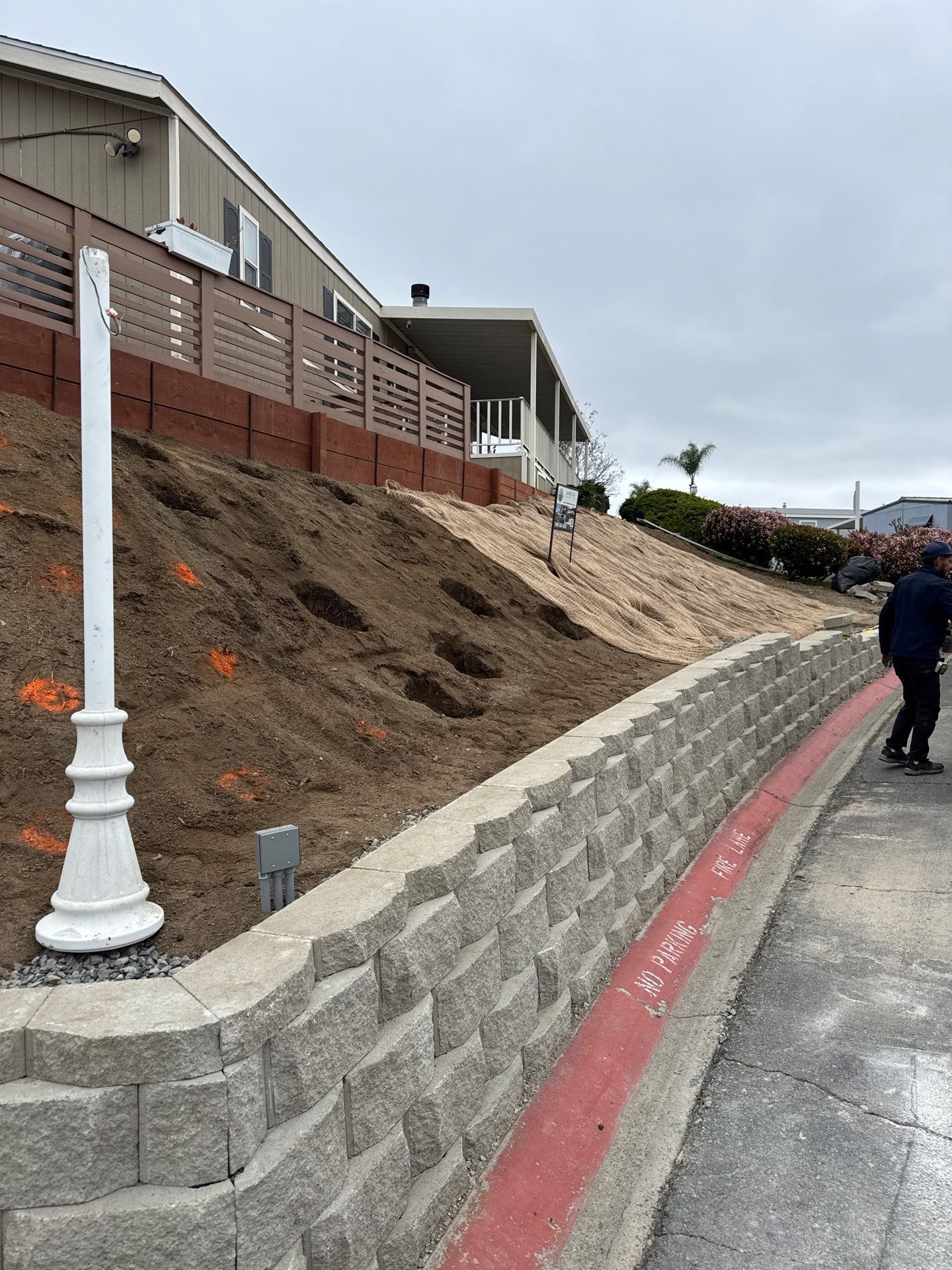 Retaining wall beside a sloping hill, newly planted with small trees. A person walks on the sidewalk.