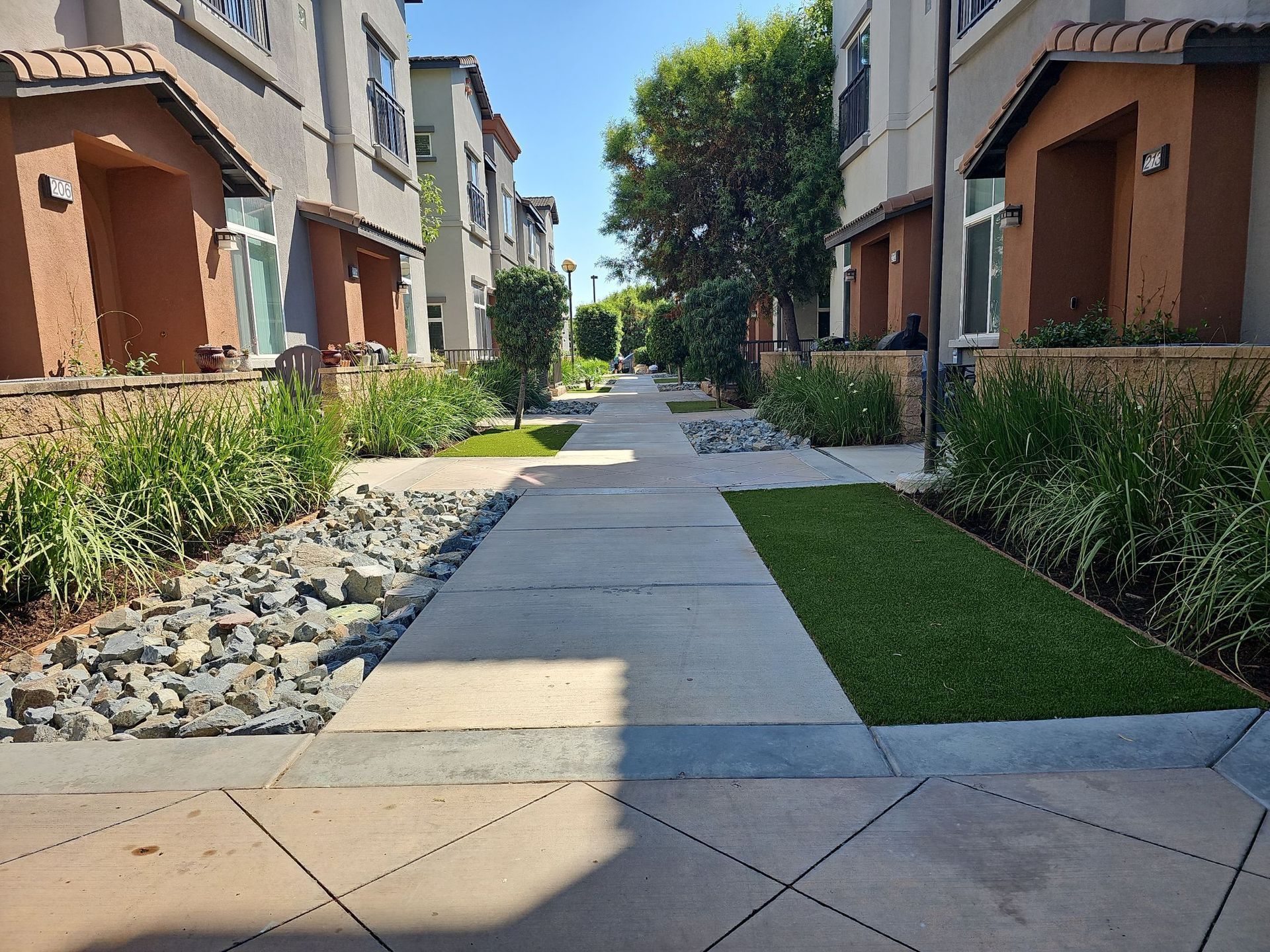 Sidewalk between townhouses with landscaping: grass, rocks, and small trees on sunny day.