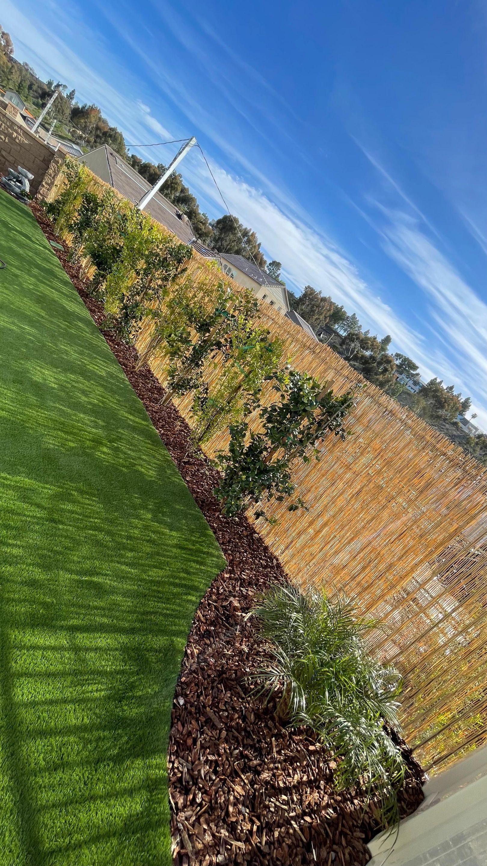 Green grass borders a mulch bed with plants and a beige wall under a blue sky.