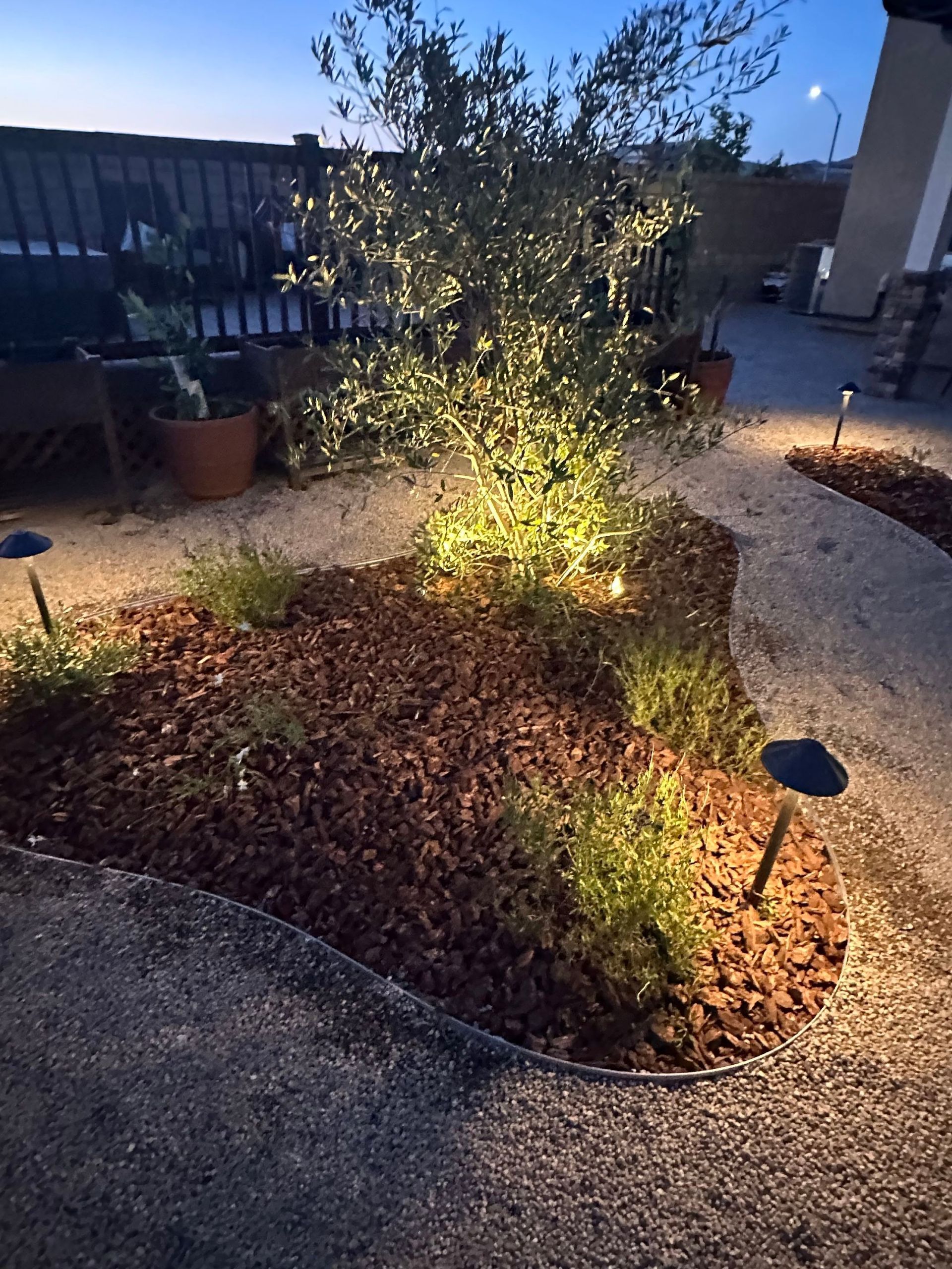 Softscape Landscape
