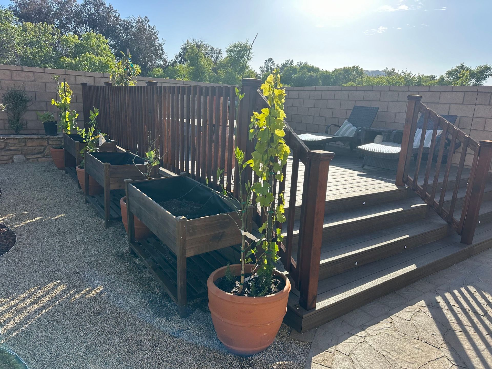 Yard Landscape