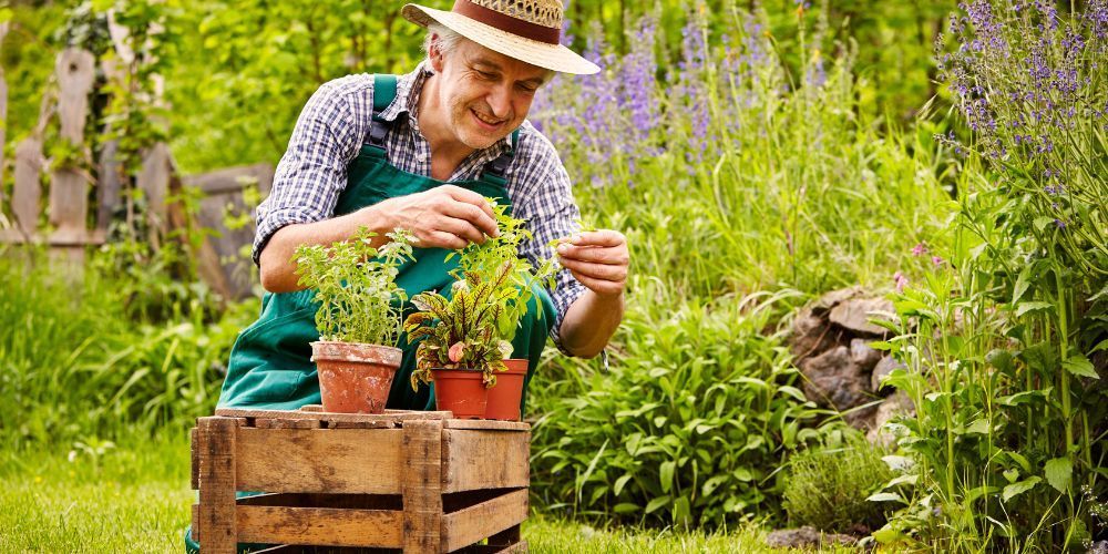 A person wearing a straw hat tending to potted plants on a wooden crate in a garden.