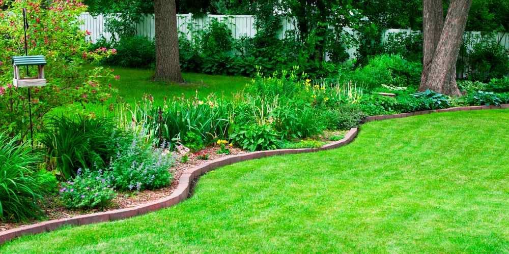 Lush backyard garden with green lawn, shrubs, trees, and a curved brick border