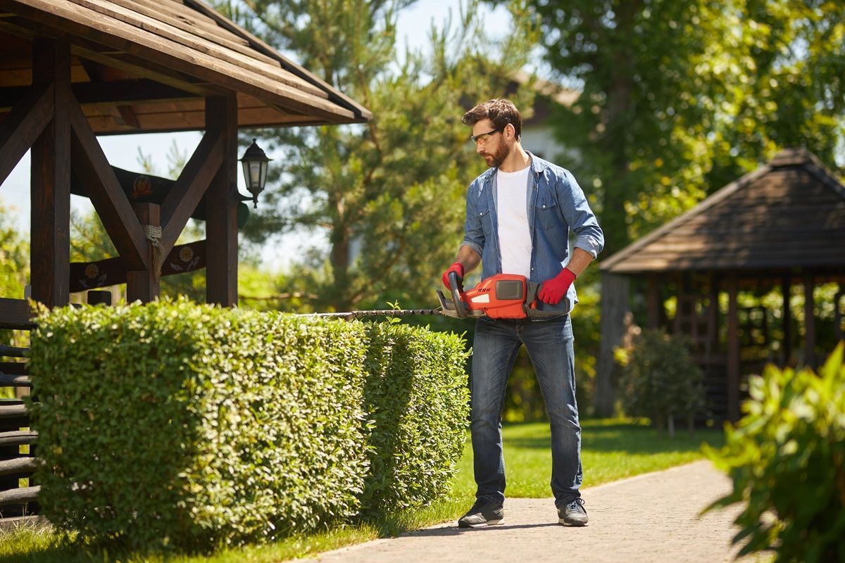 landscaping services Escondido CA for custom backyard design and outdoor living area