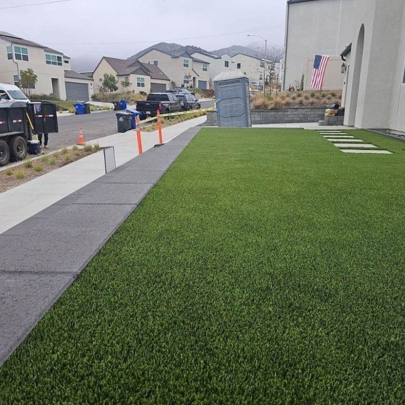 Lush green artificial lawn next to a concrete sidewalk. Residential street with houses and a portable toilet.