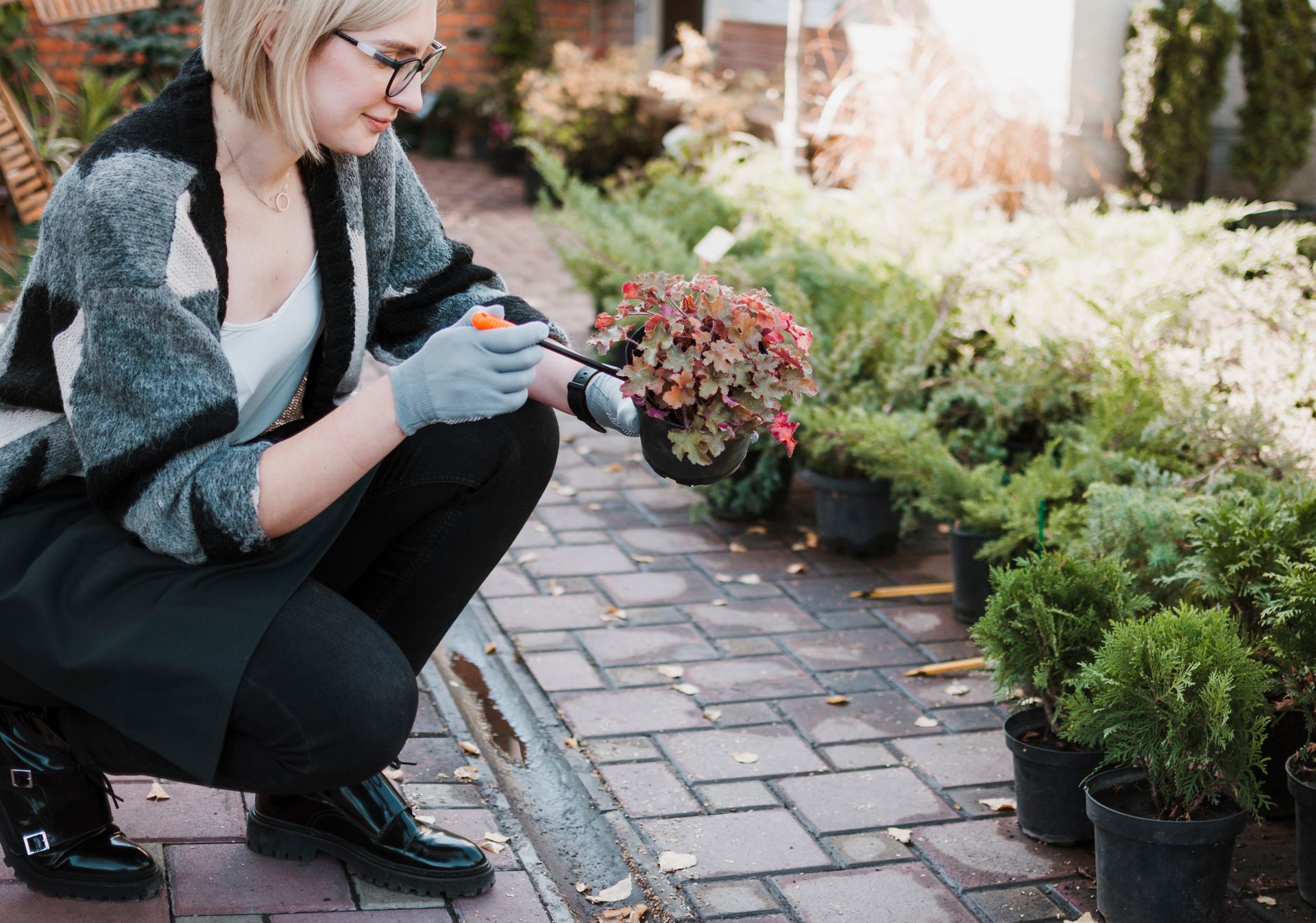 Hardscape Services in Escondido