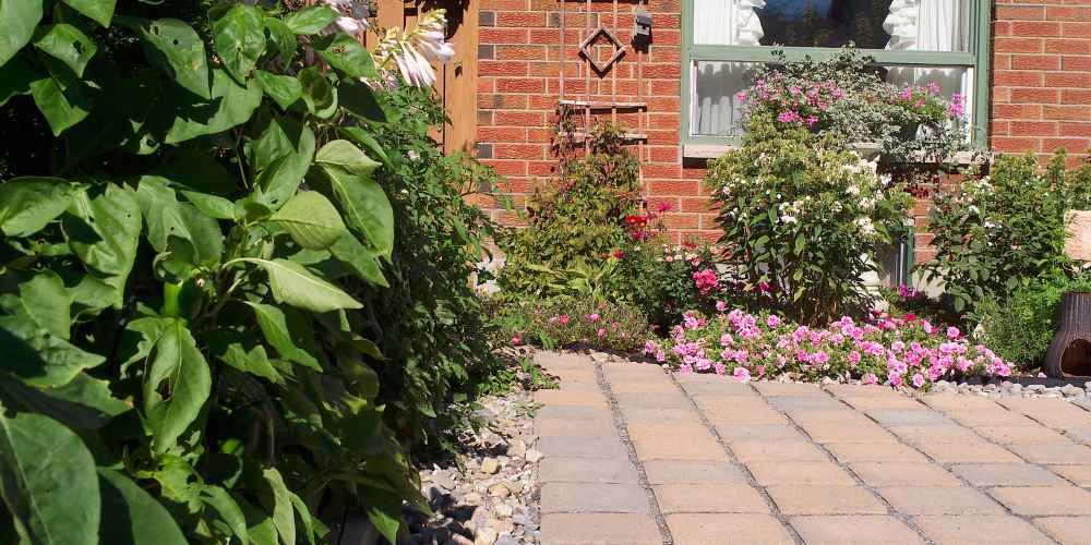 Brick home exterior with garden, paved path, and lush green plants.