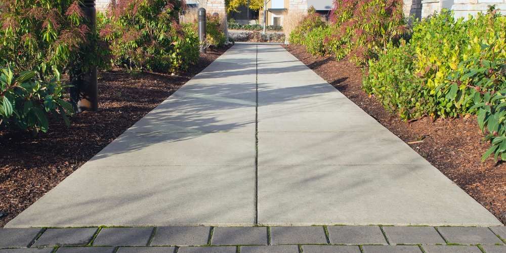 Straight concrete sidewalk leading through landscaped bushes and flowers