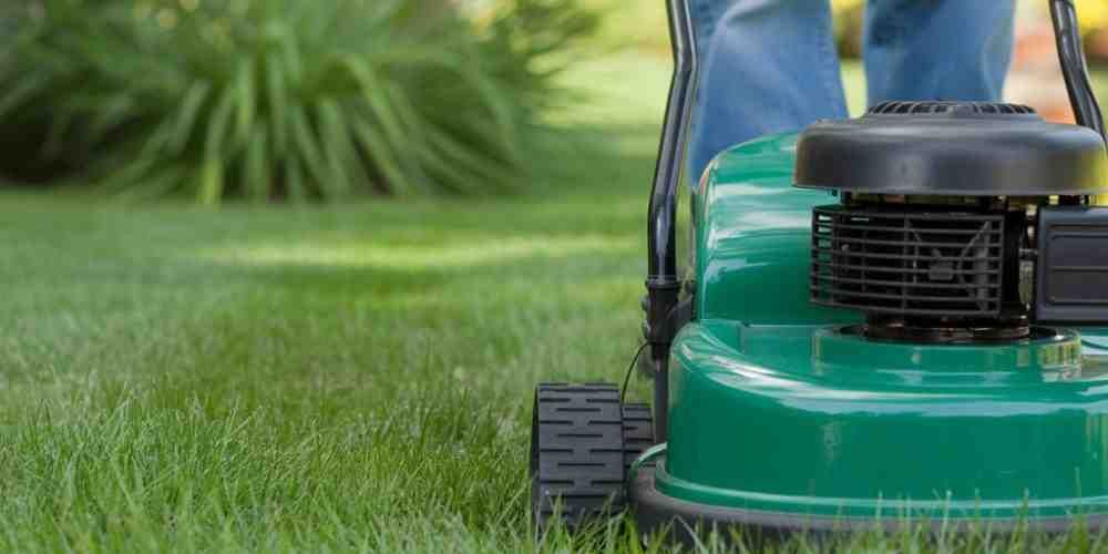 A person mowing a green lawn with a green lawnmower.
