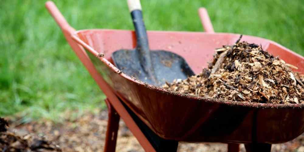 Mulch - Don't Write Off the Traditional!
