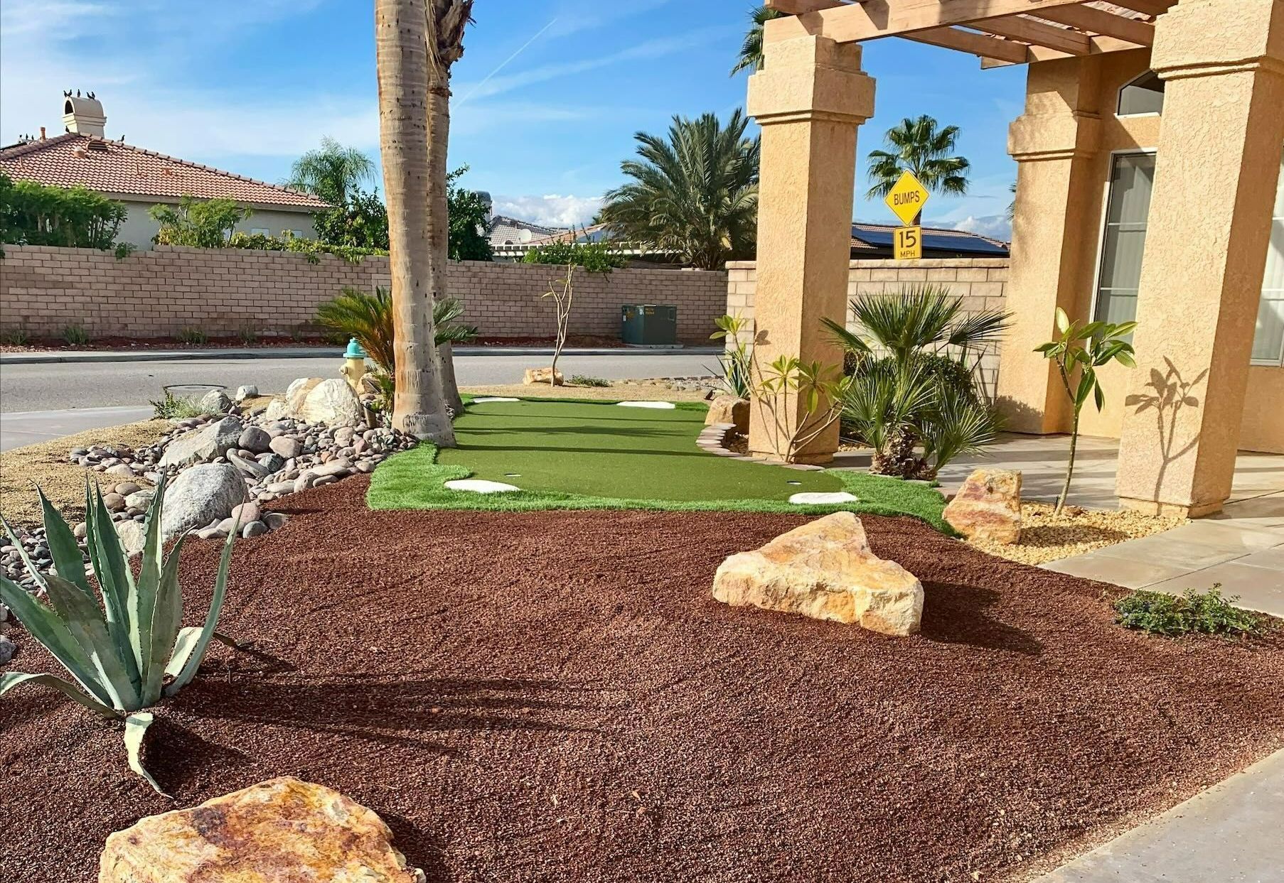 Yard Landscape