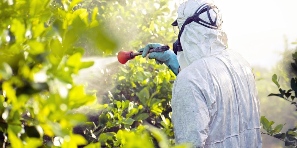 Pest and Weed Control