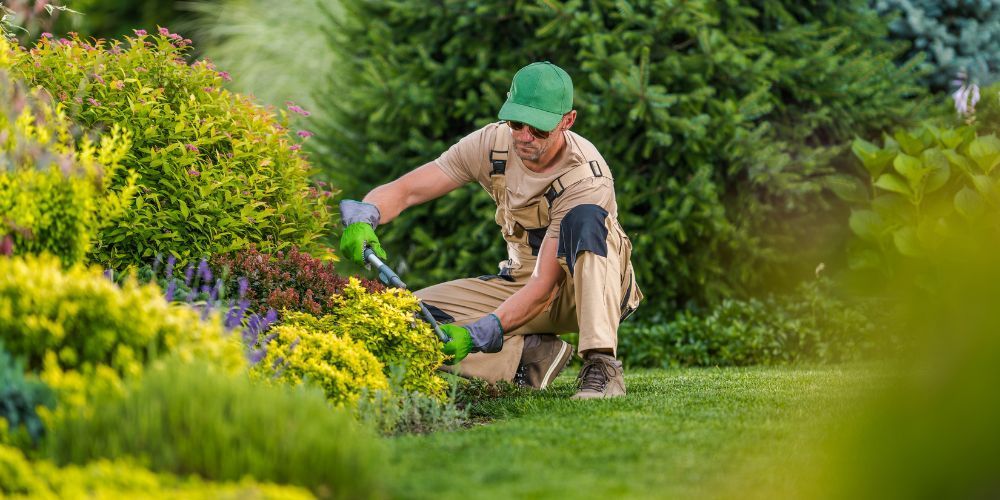 Pruning and Trimming
