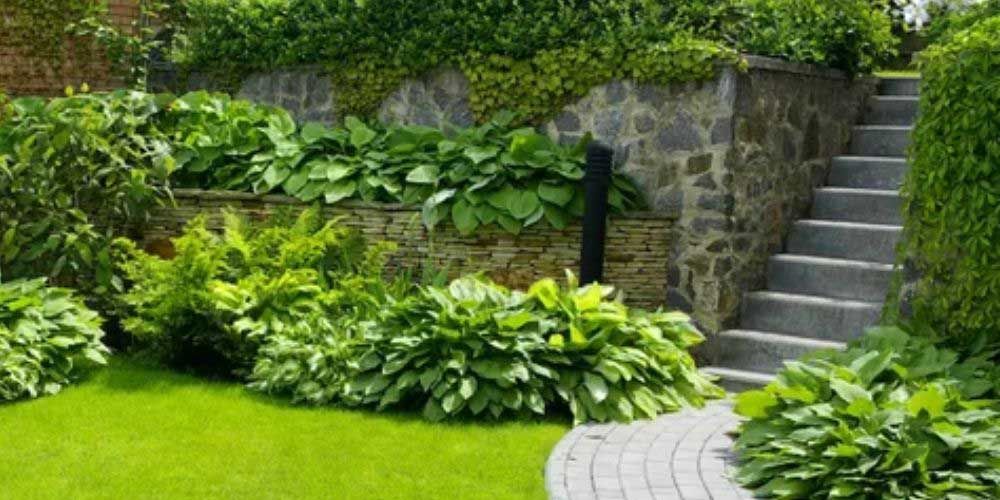 Softscape Your Outdoor Space