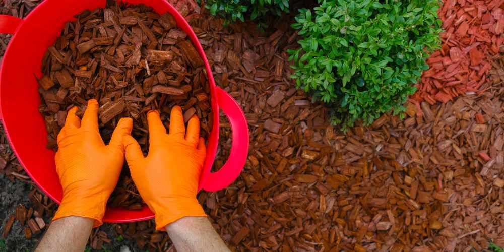Soil and Mulch Management