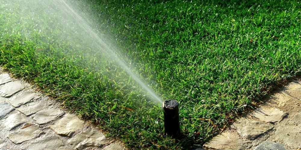 Sprinkler spraying water over a green lawn at the corner of a stone walkway