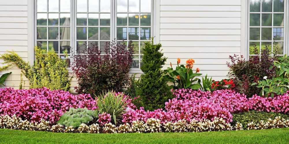 Flower bed in front of a house, featuring pink, green, and red plants, with a grassy lawn in the foreground.
