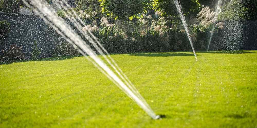 Custom Landscaping in Encinitas, CA
