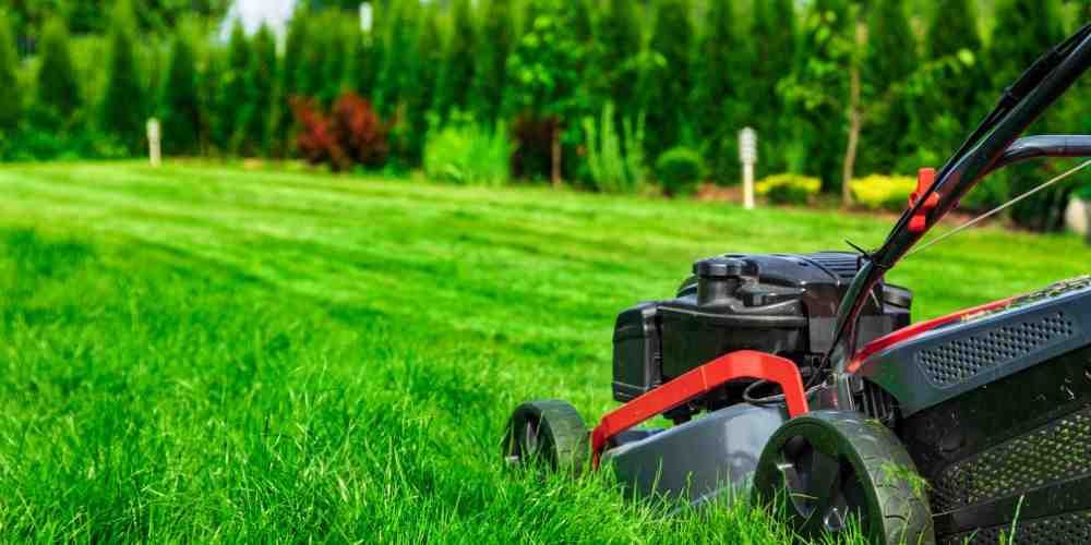 Lawnmower cutting grass in a backyard with rows of neatly cut grass and green trees in the background.