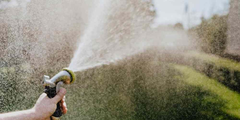 Custom Landscaping in Encinitas, CA