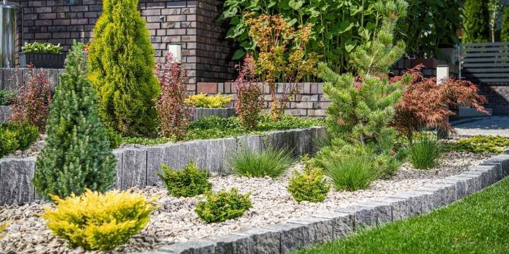 A garden bed with various evergreen shrubs and bushes. The ground is covered with gravel.