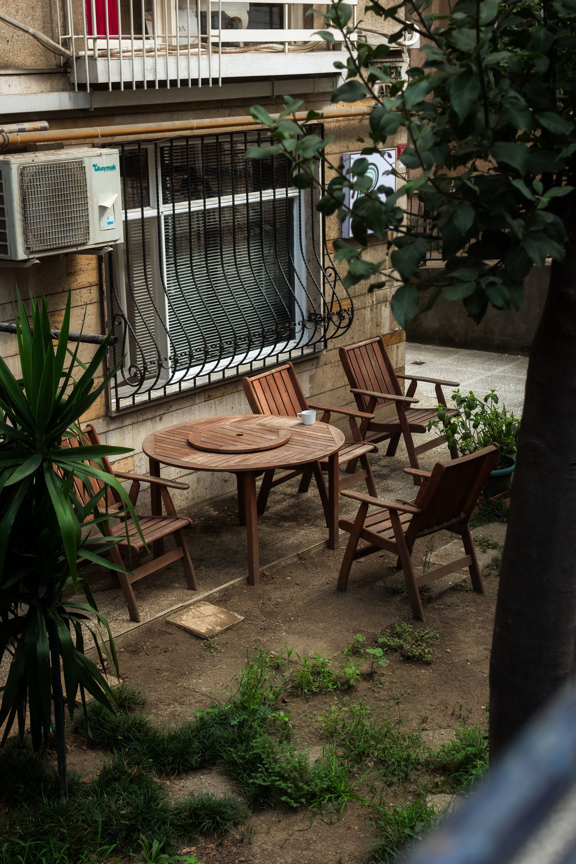 Yard Landscape