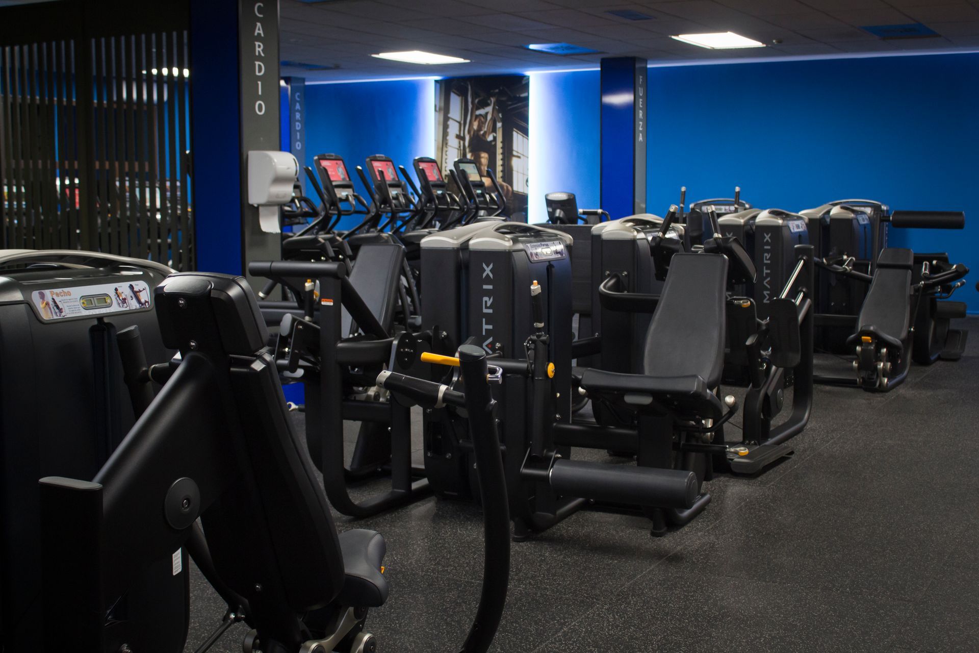 Gimnasio