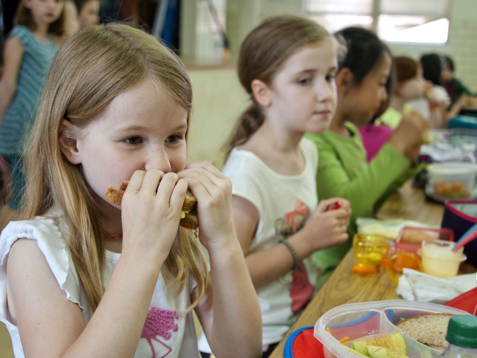 therapy at child's school day therapy programs