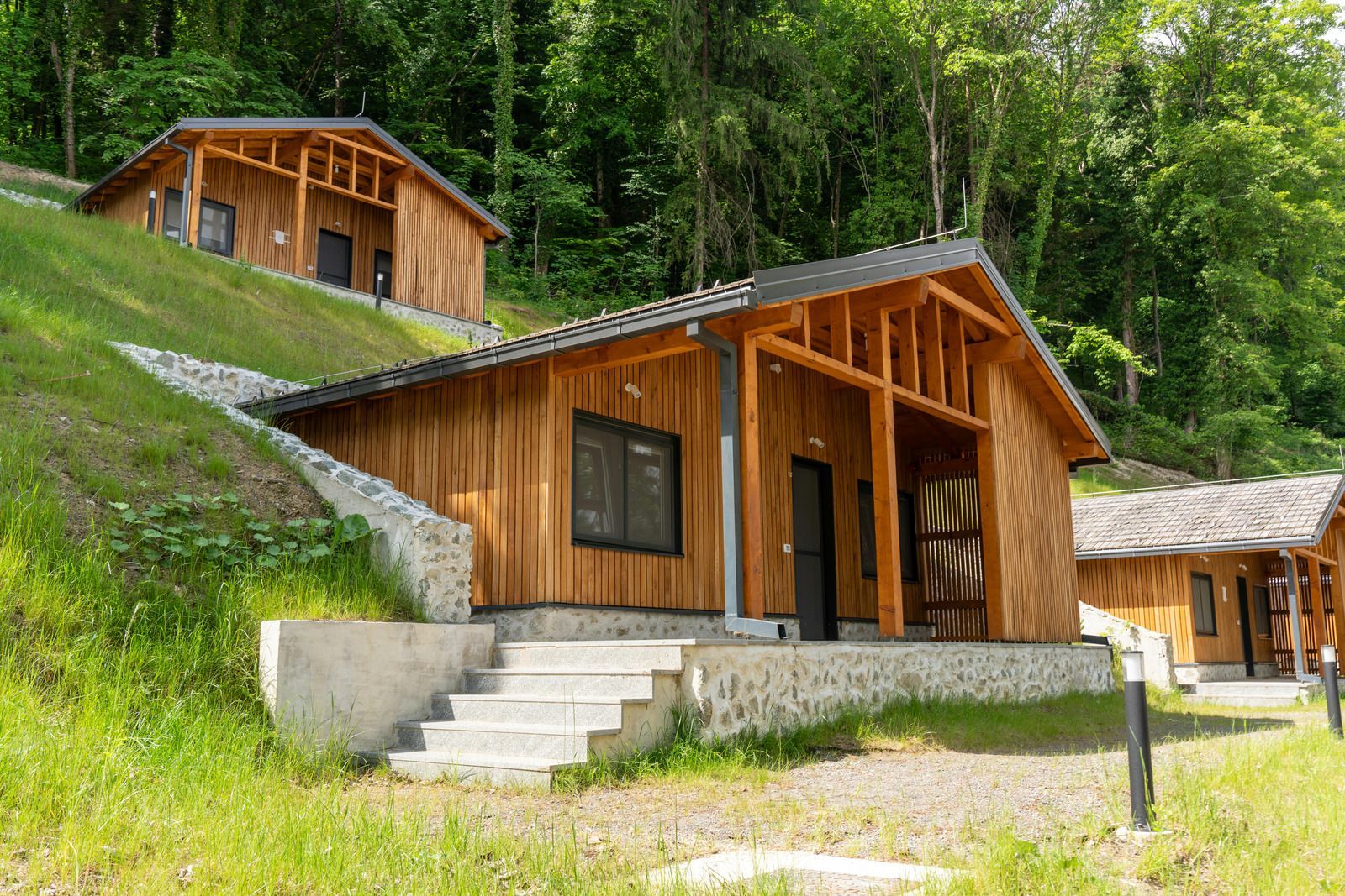 Wooden cabins on a green hillside with stone steps and forest trees nearby