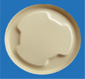 BB-75G, 75S ROUND BOWL LID BAGASSE