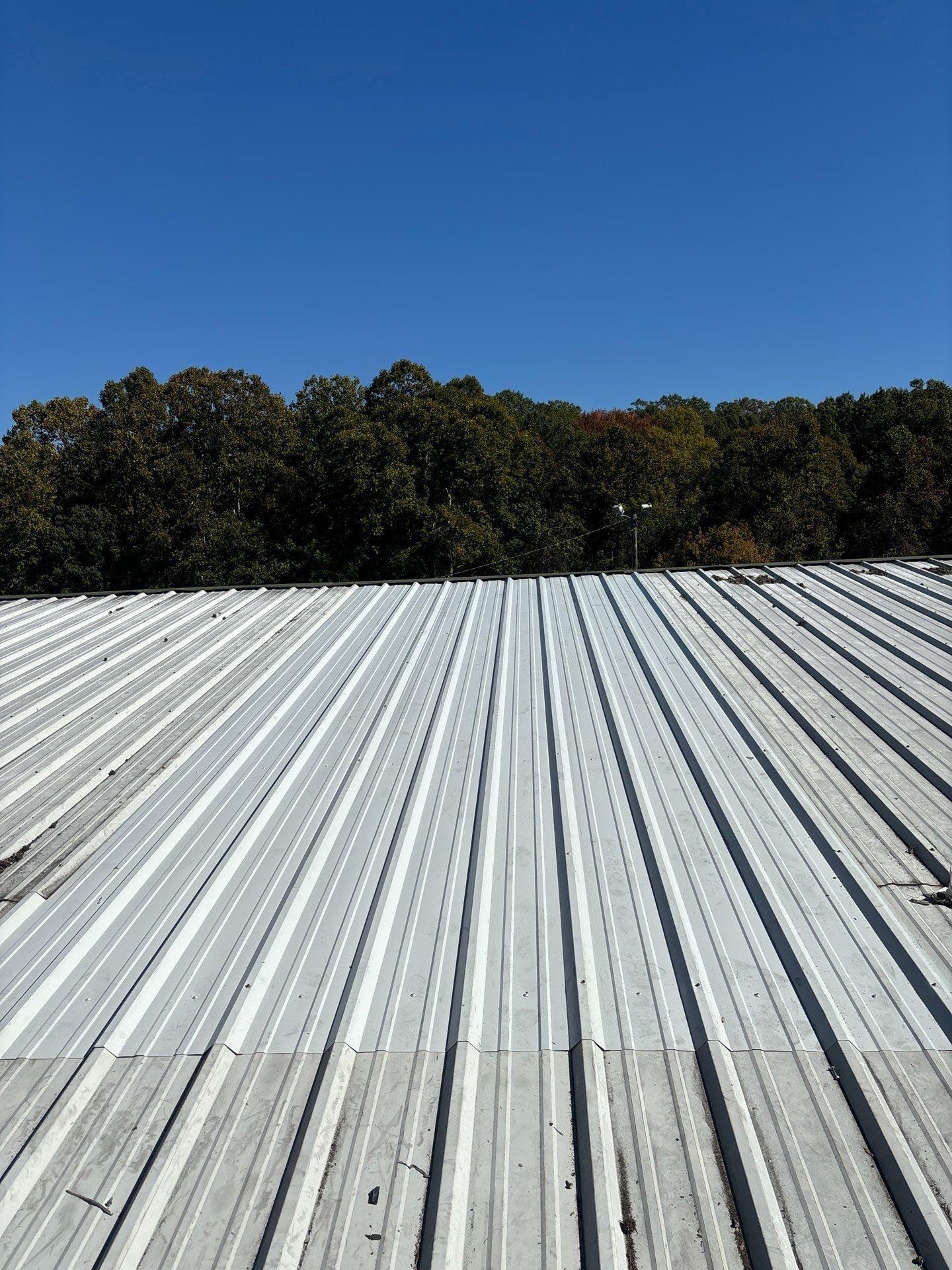 A metal roof with trees in the background on a sunny day.