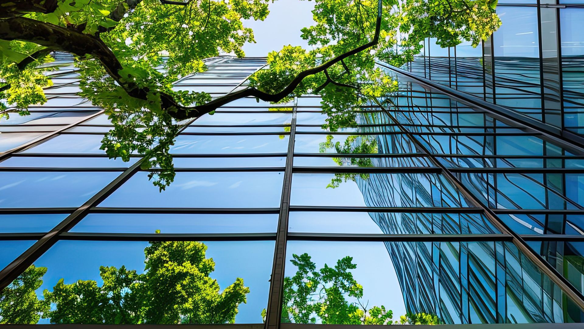 BREEAM and LEED promote sustainability in architecture. Find out how glass can play a pivotal role.
