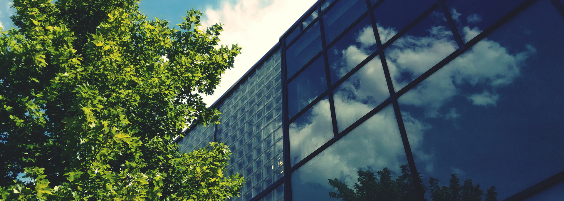 Picture of glass building. 