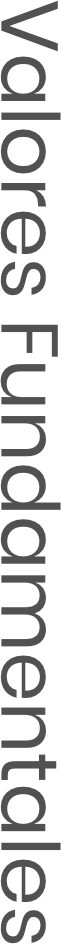 A white background with a lot of lines on it