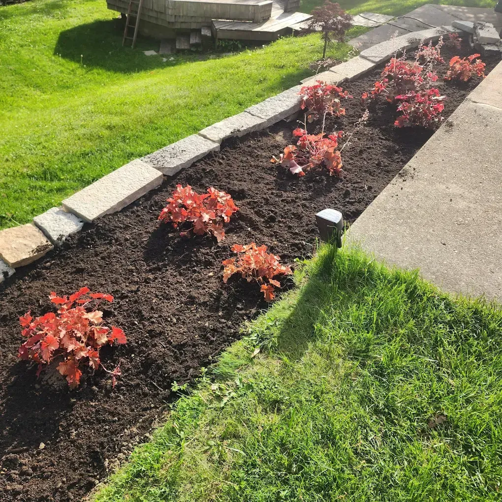Garden plot 