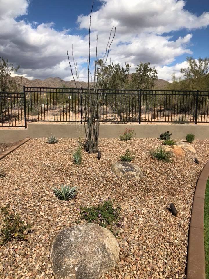 Desert landscape with rocks, cacti, and an ocotillo plant in front of a black fence under a cloudy sky.