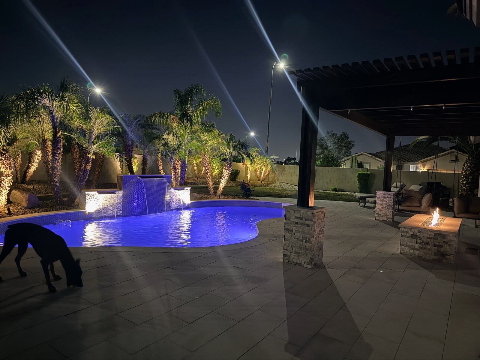 Nighttime backyard with glowing pool, palm trees, and a black dog sniffing the patio