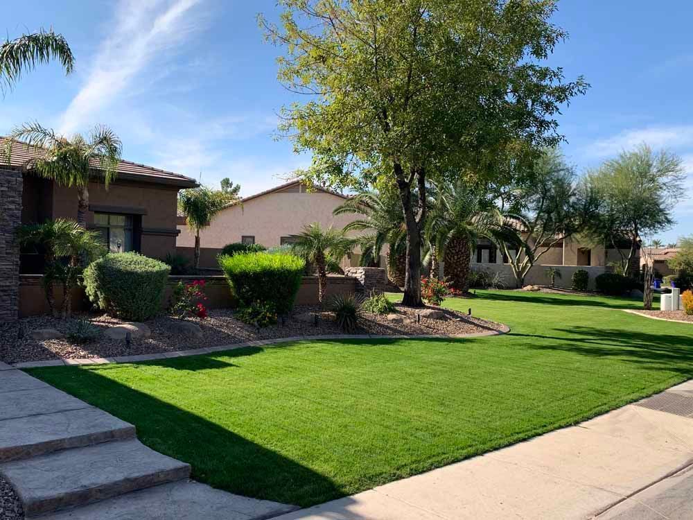 Well-manicured green lawn and suburban homes under a sunny sky.