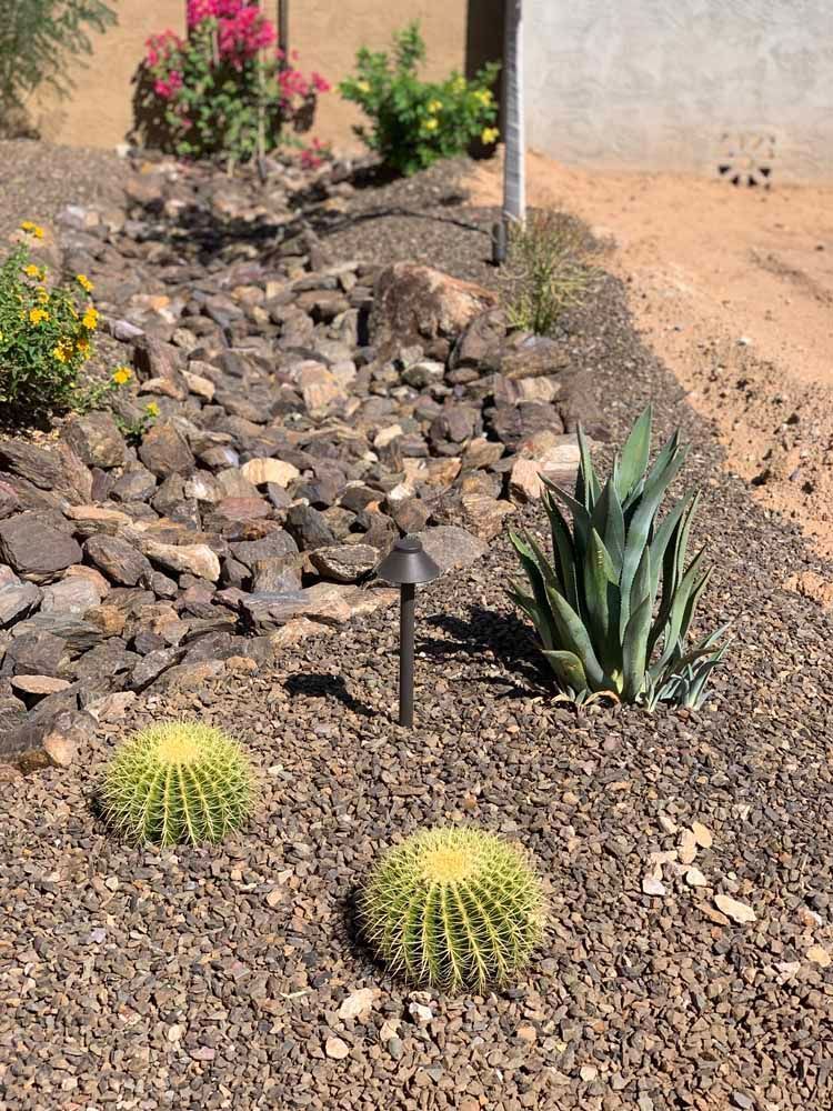 Desert landscape with cacti, rocks, and agave plant.