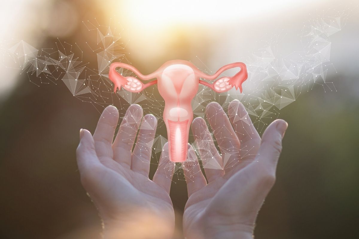 cuidado-flora-vaginal-dra-juliana-ribeiro-ginecologista-sao-paulo