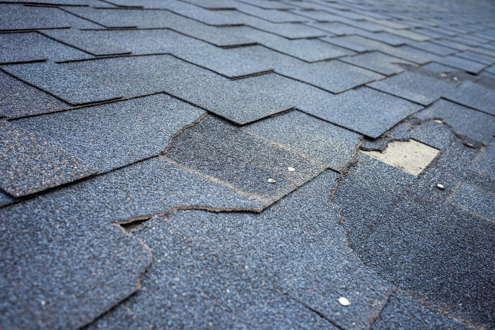 A damaged asphalt shingle roof.