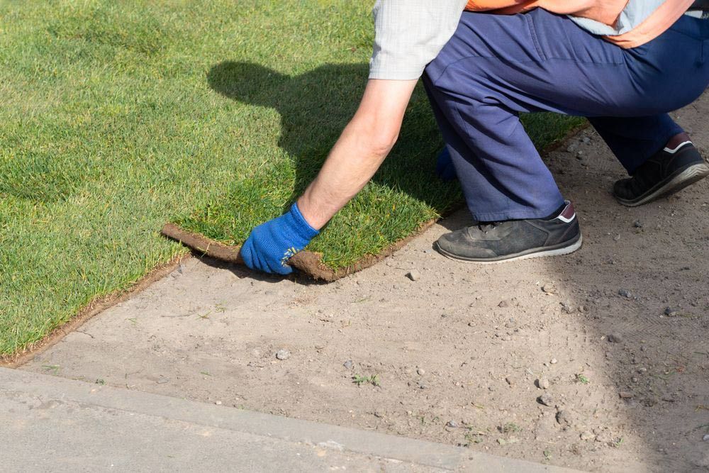 Installation of Grass Roll Carpet — Aussie Turf Supplies In The Hunter Valley NSW