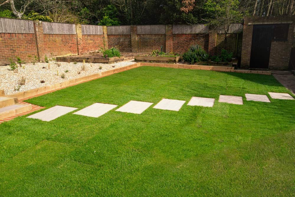 New Turf Installed Around A Stepping Stone Pathway In The Backyard — Aussie Turf Supplies In Minmi NSW