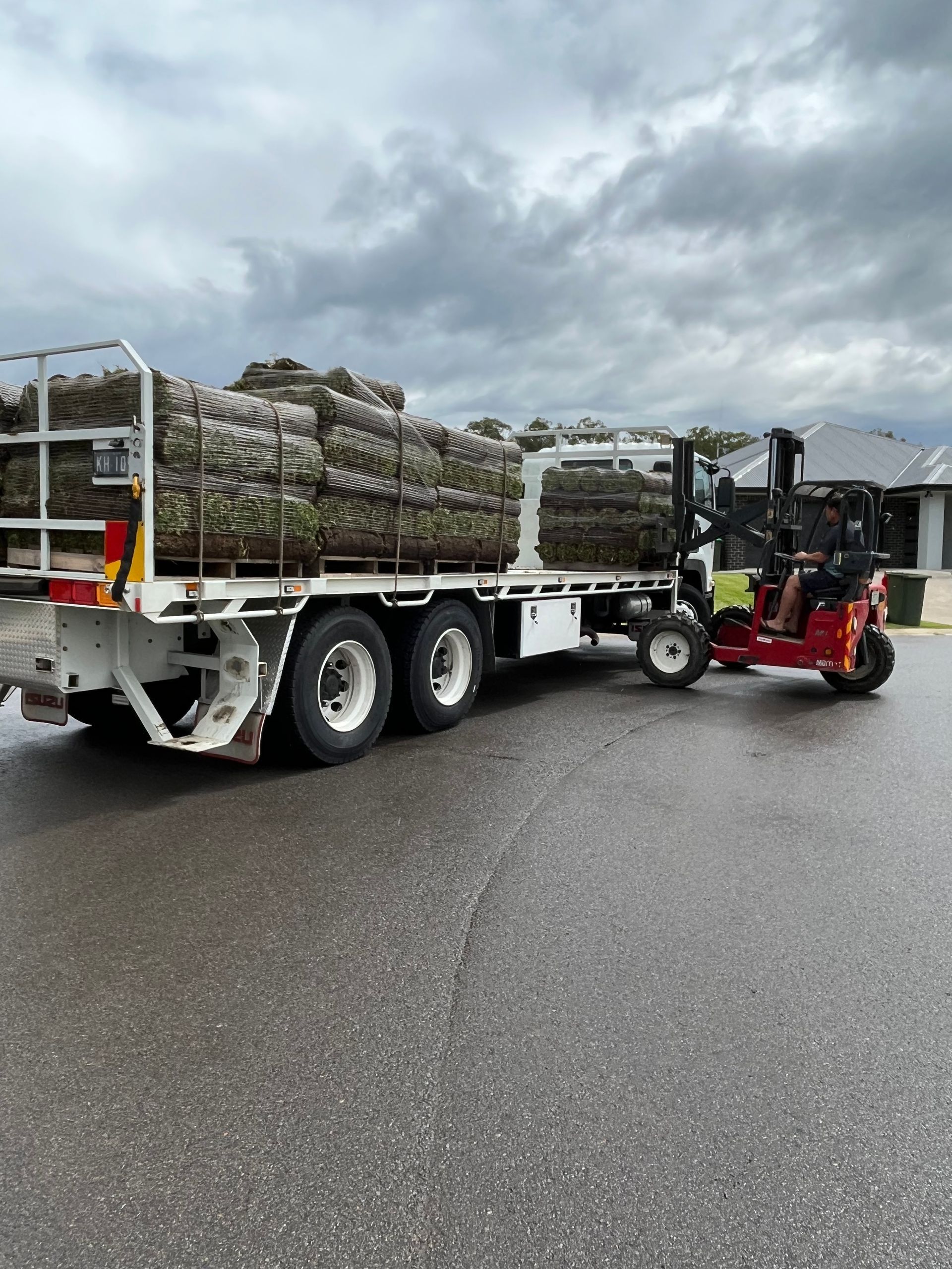 Several Turf Grass Rolls Supply — Aussie Turf Supplies In Minmi NSW
