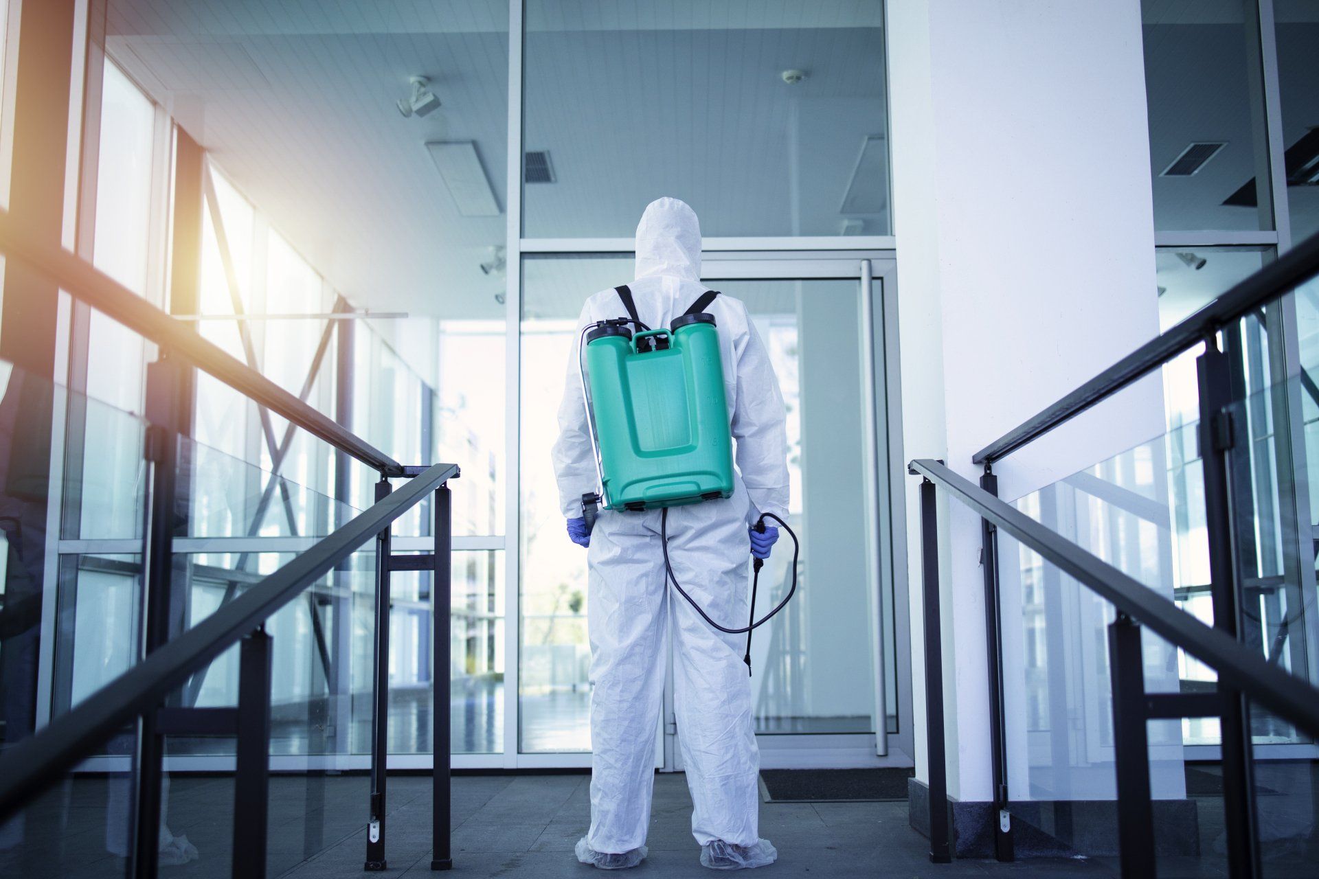 Disinfezione, deblattizzazione e derattizzazione