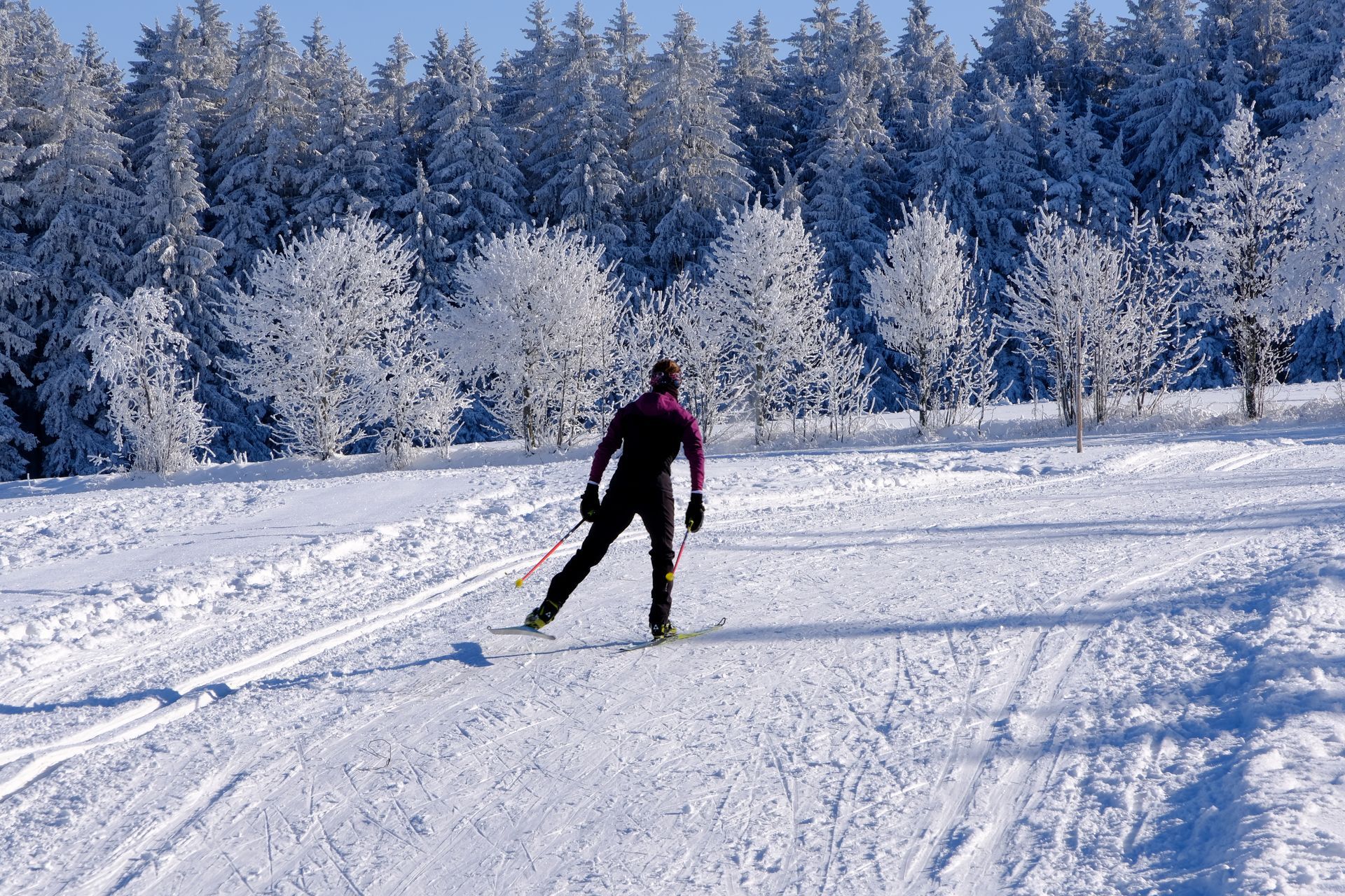 Balade en ski de fond