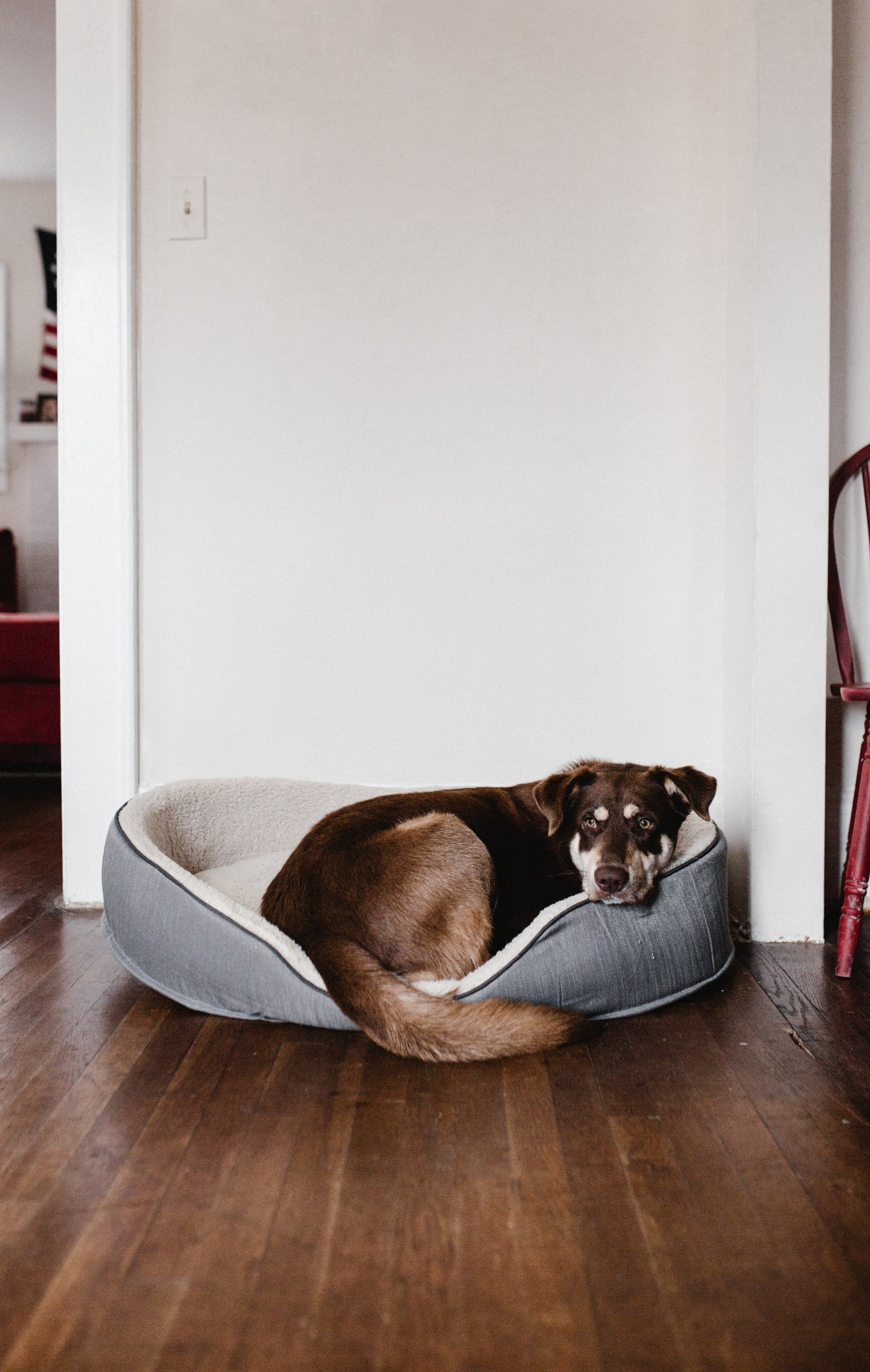hardwood floor