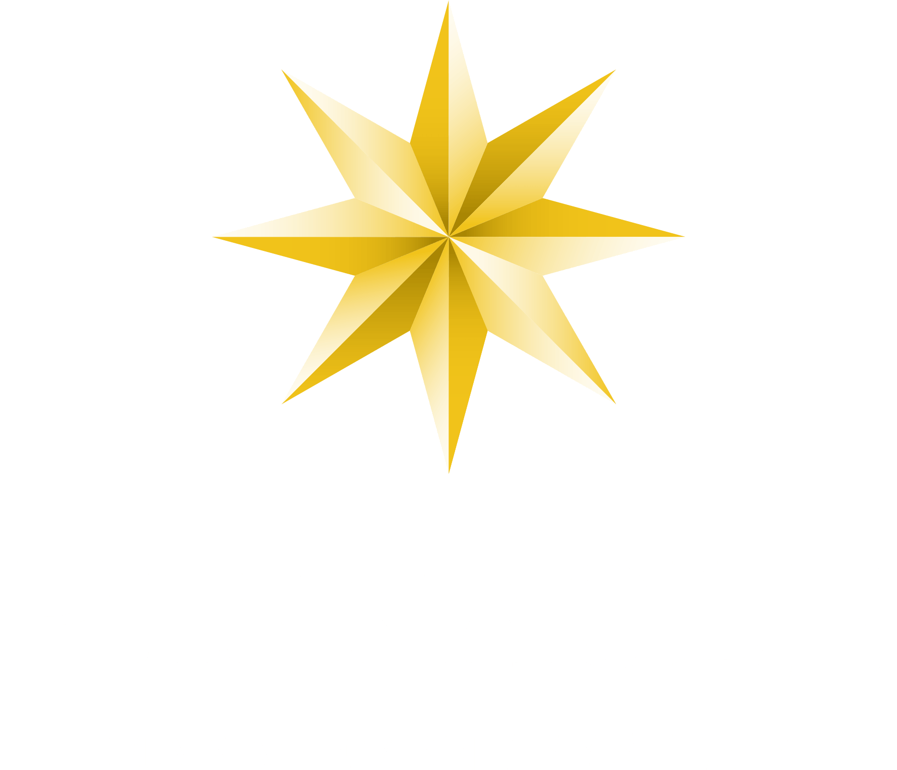 Pinnacle Management Systems logo