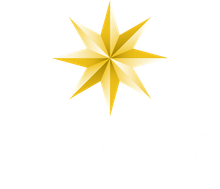 Pinnacle Management Systems logo