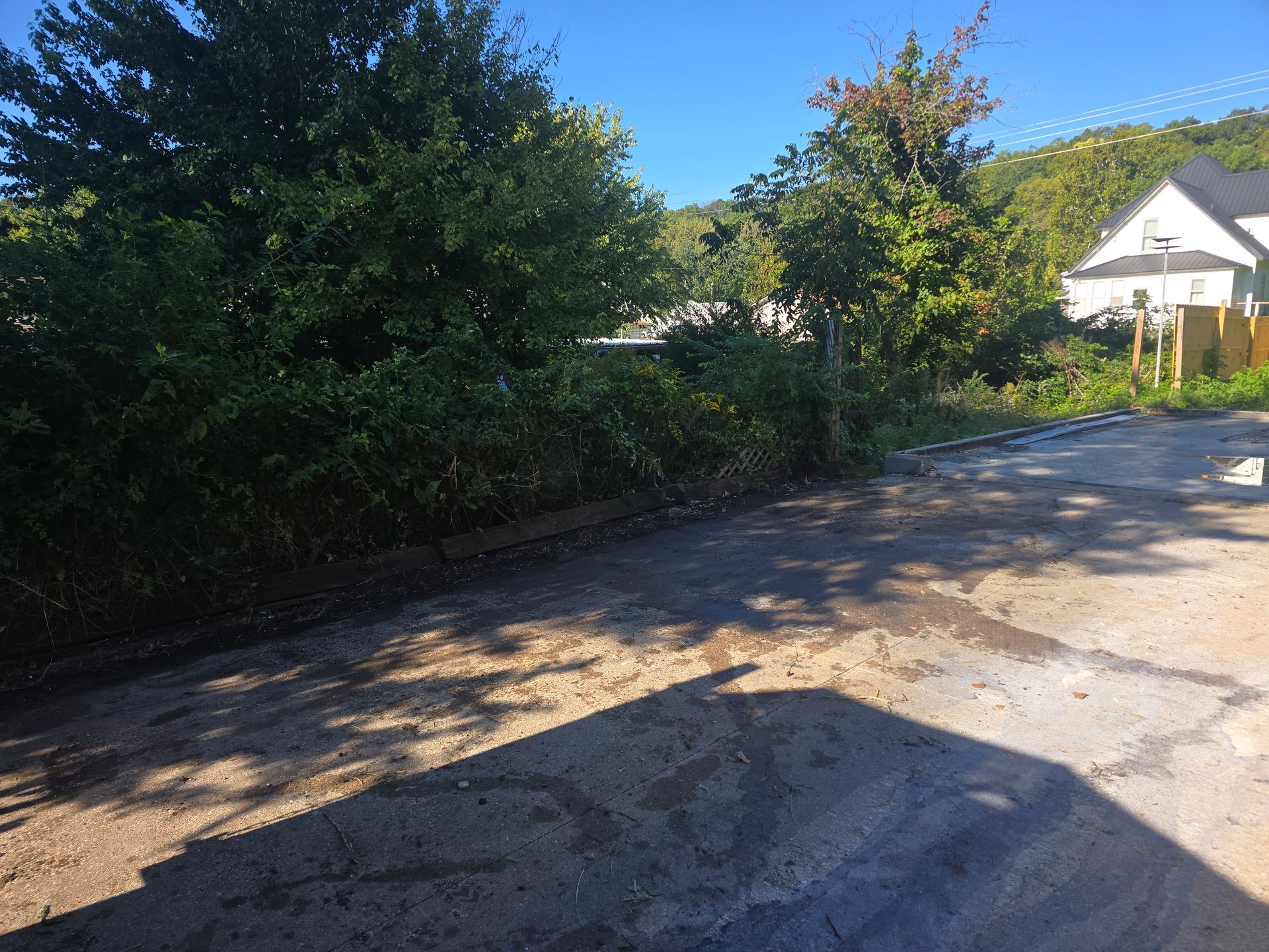 Sunlit driveway beside dense green trees and a white house, with long shadows across the pavement